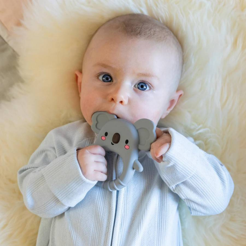 Μασητικό παιχνίδι Tiger Tribe Silicone Teether Koala