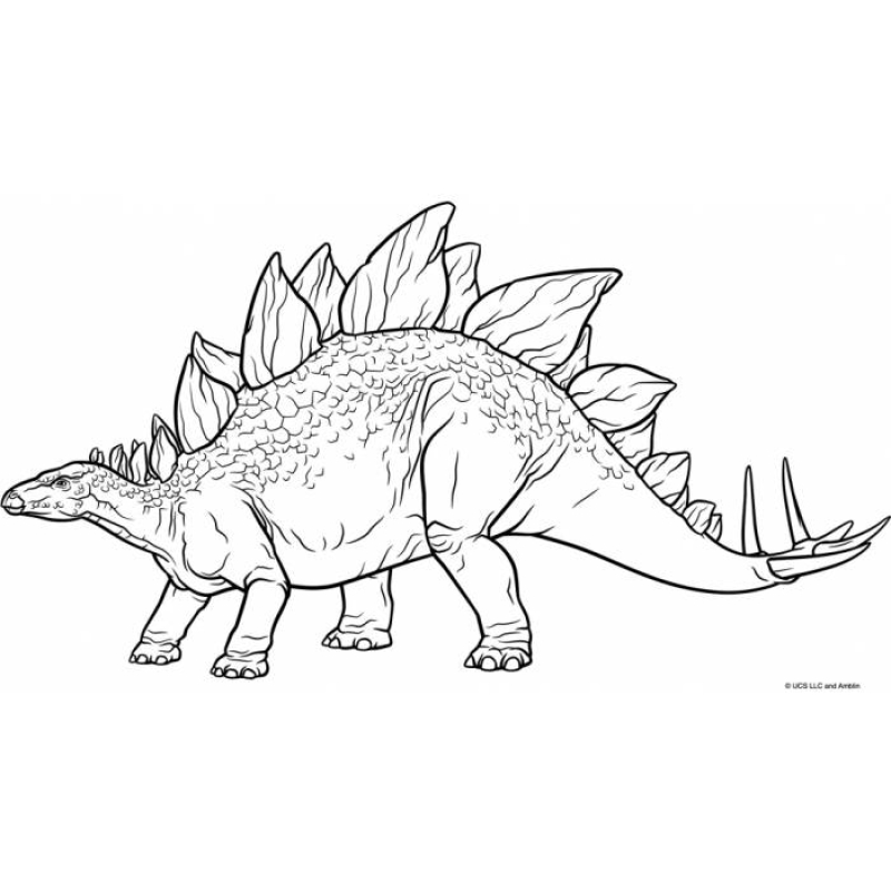 Μπλοκ Ζωγραφικής Jurassic 23x33cm 40φυλ. 0570771