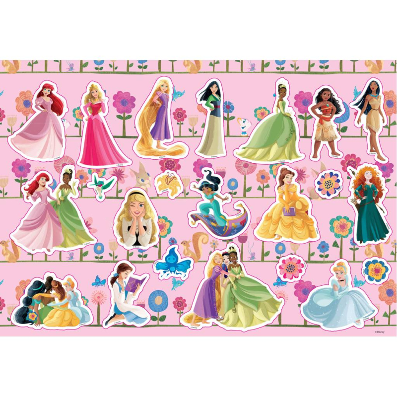 Μπλοκ Ζωγραφικής Princess 40φυλ.