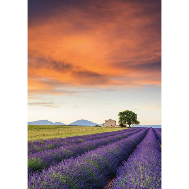 Παζλ Schmidt Lavender Field, Provence 500τεμ.