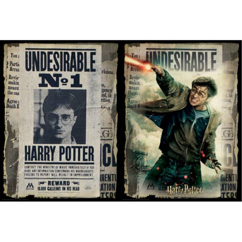 Παζλ Scratch Harry Potter Wanted 500 τεμ