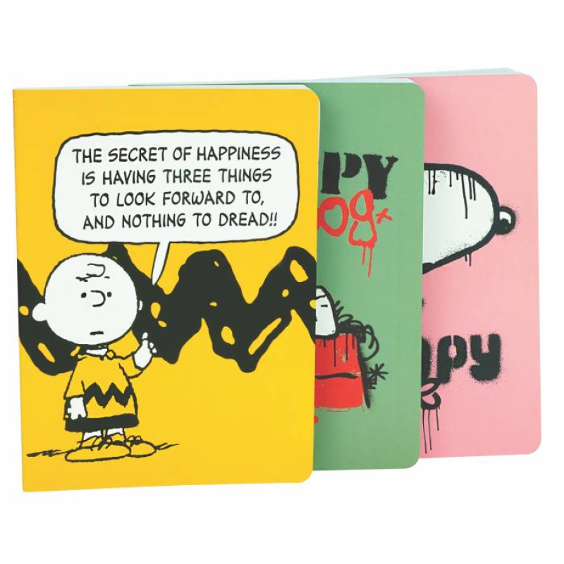 Σετ 3 σημειωματάρια BMU Snoopy Α5