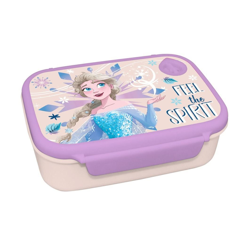Σετ φαγητοδοχείο 800ml - παγούρι αλουμινίου 500ml Disney Frozen
