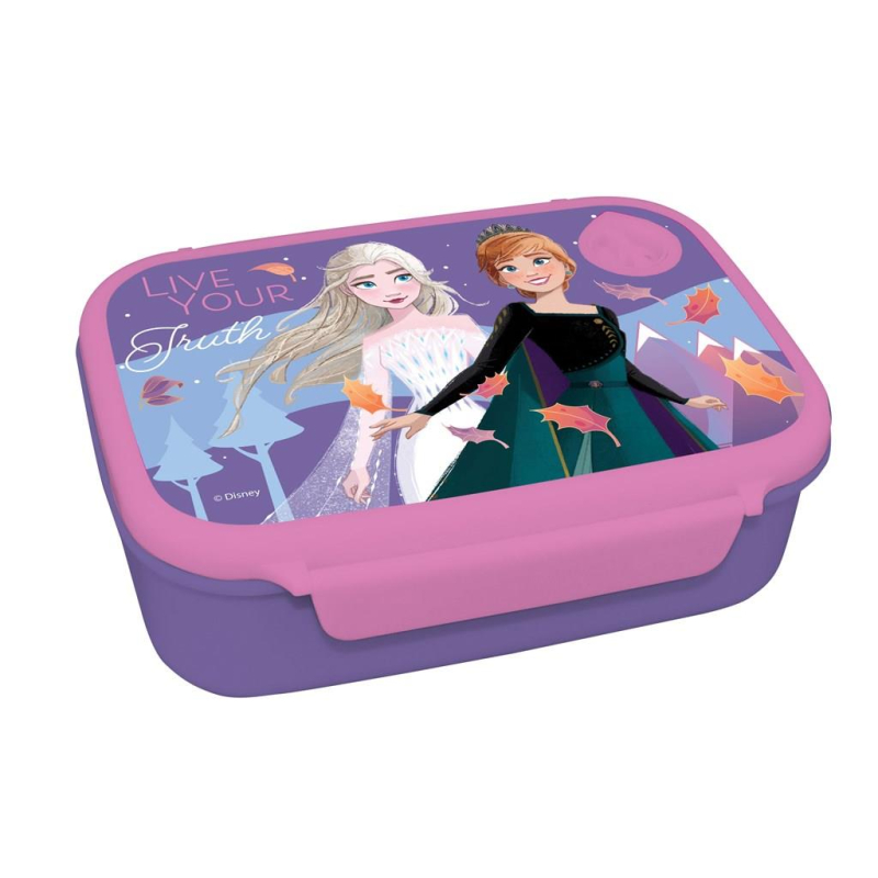 Σετ φαγητοδοχείο 800ml - παγούρι ανοξείδωτο 500ml Frozen
