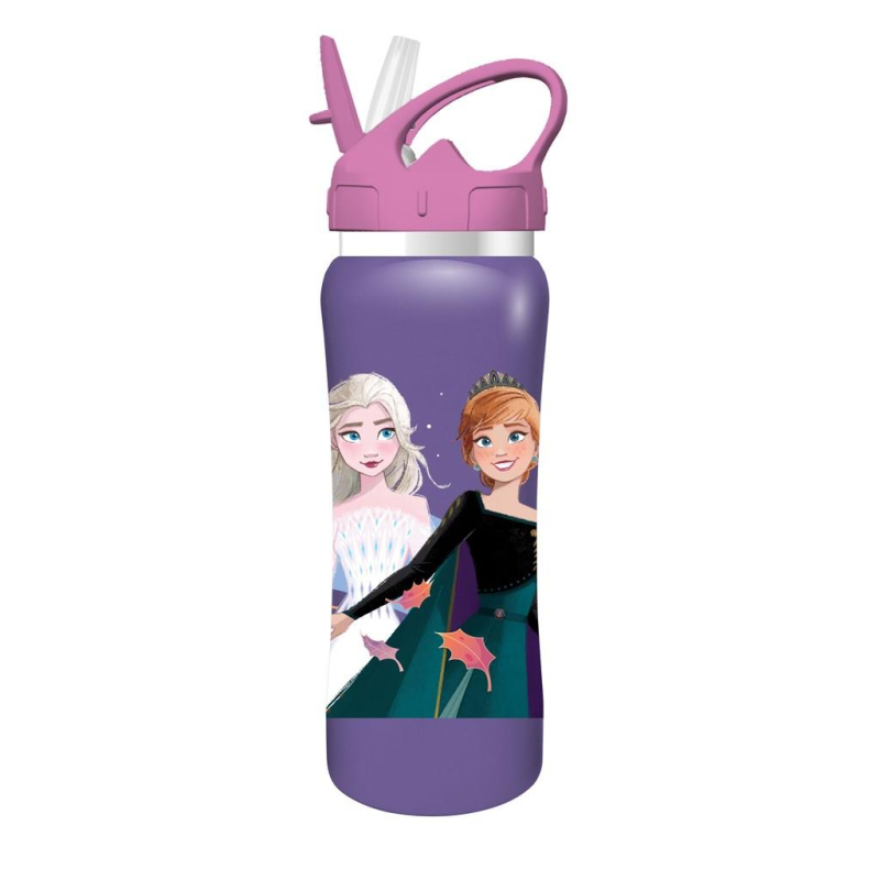 Σετ φαγητοδοχείο 800ml - παγούρι ανοξείδωτο 500ml Frozen