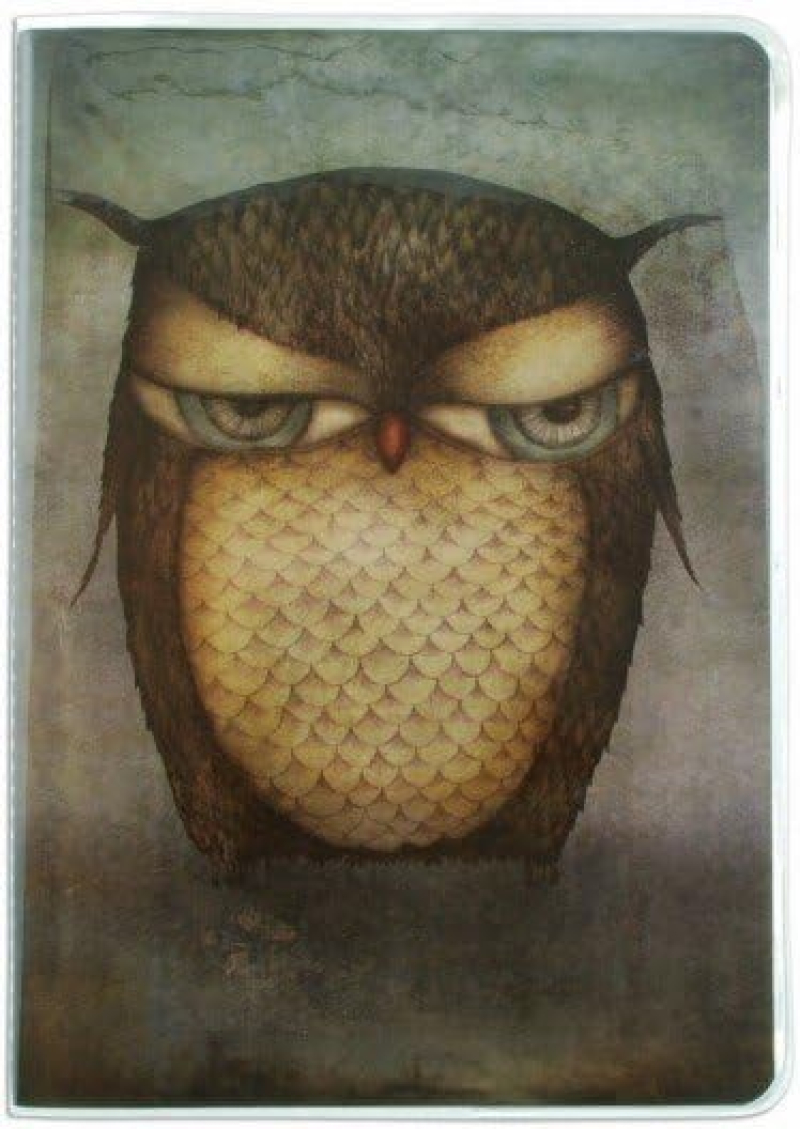 Σημειωματάριο Santoro Crumpy Owl A5