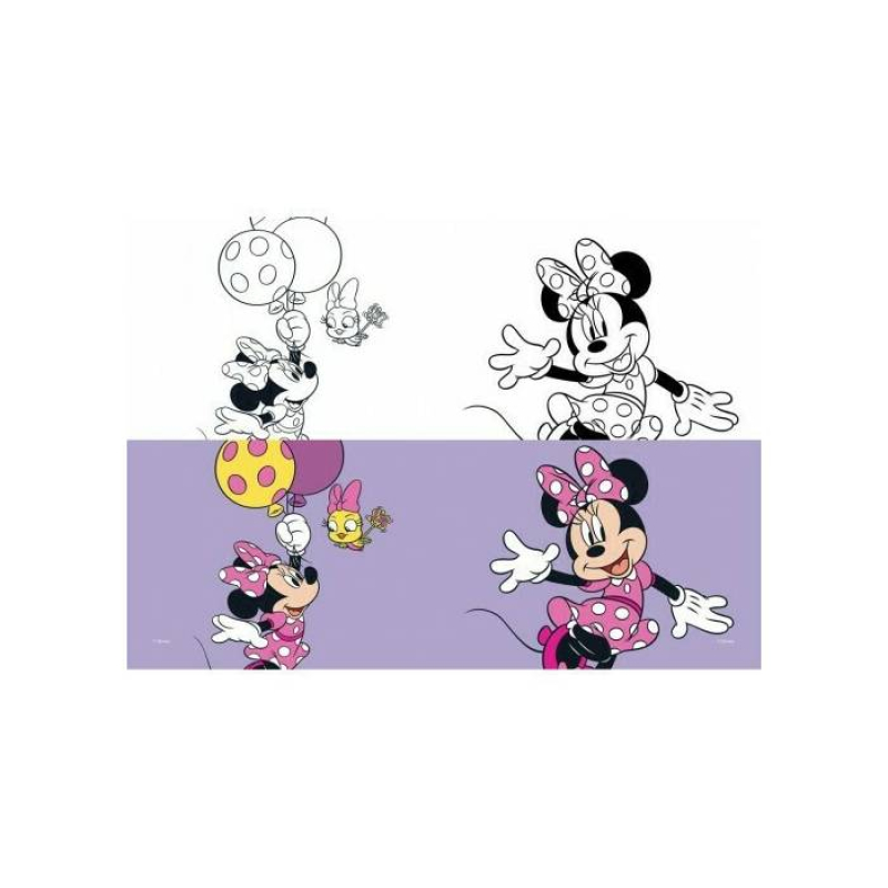 Τετράδιο καρφίτσα Minnie 17x25 40Φ.