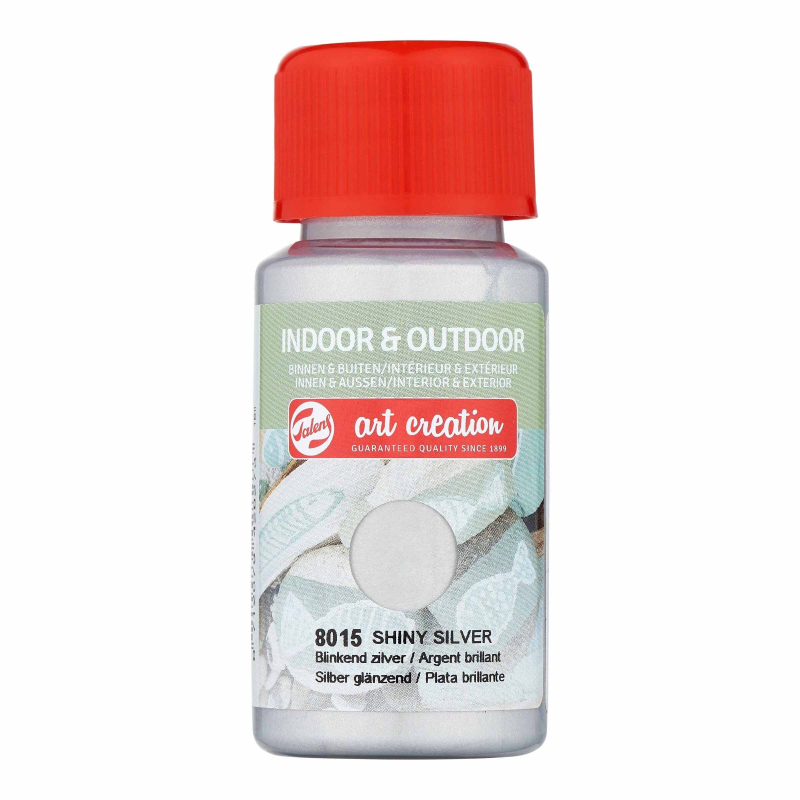 Χρώμα Indoor & Outdoor 50 ml Shiny Silver 8015