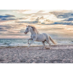 Παζλ Ravensburger Evening Gallop 500τεμ.