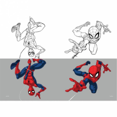 Τετράδιο καρφίτσα Spiderman 17x25 40Φ.