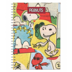 Τετράδιο σπιράλ BMU Peanuts 2 θεμάτων A4