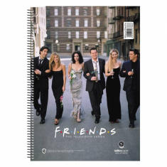 Τετράδιο σπιράλ Salko Friends Vol.2 2 θεμάτων 17x25